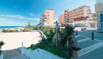 Tropical-Paradise-17.jpg